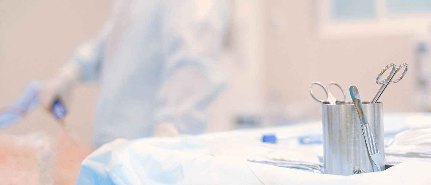 Descripción del servicio